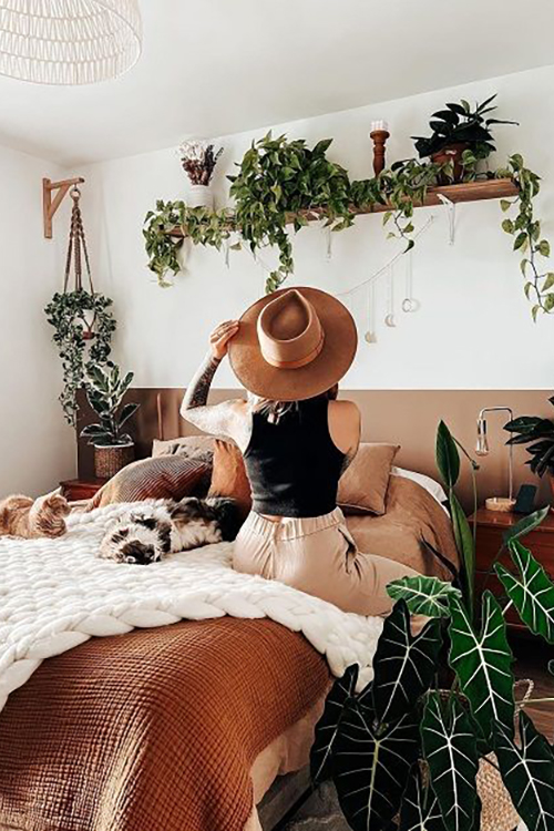 Bohemian plant bedroom ideas: Statement plants