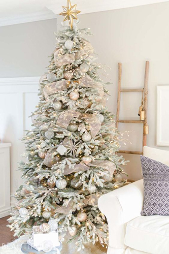 Christmas Tree Ideas
