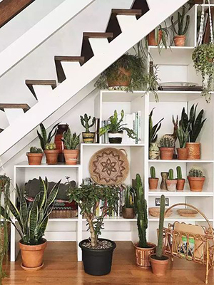 Adding extra shelves: Under staircase
