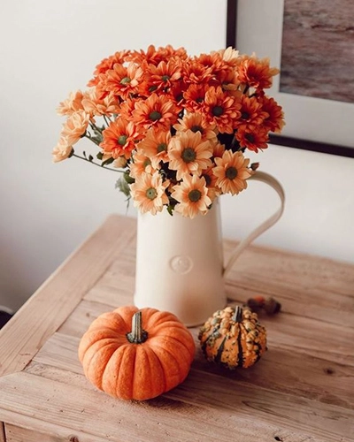 Affordable Fall Decor Ideas